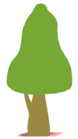 木6