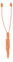 体