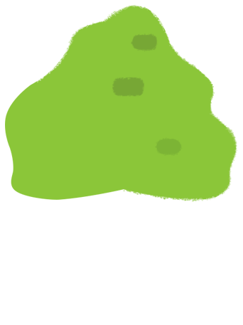 木4の葉