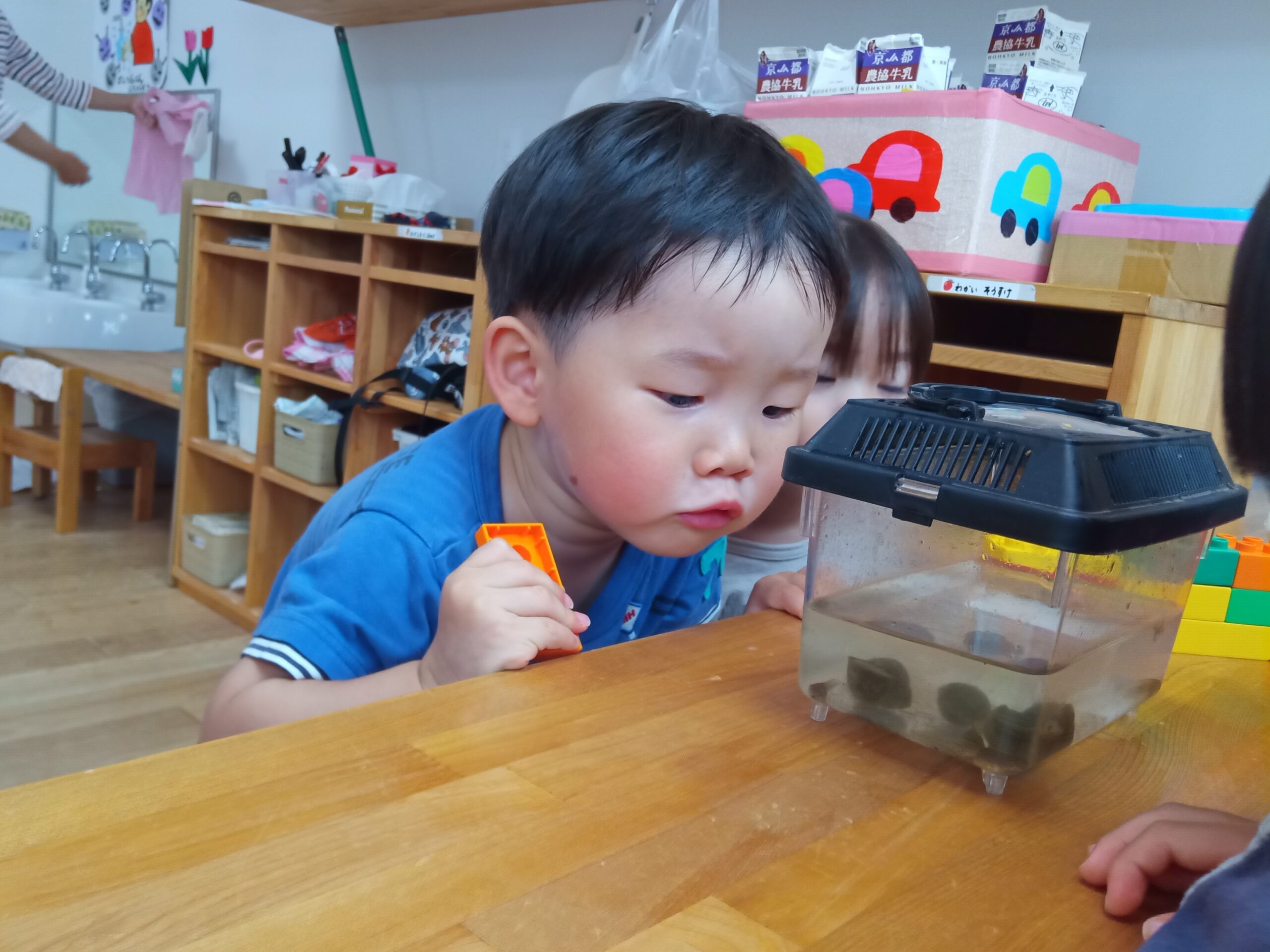 給食の様子2